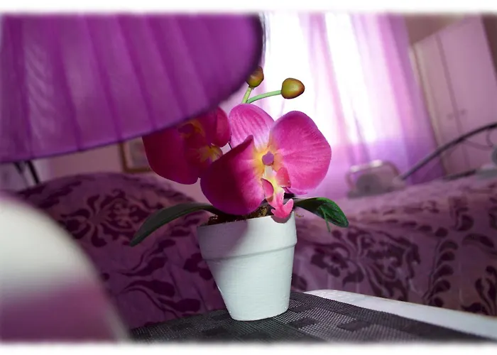 Bed and Breakfast Josef 3*