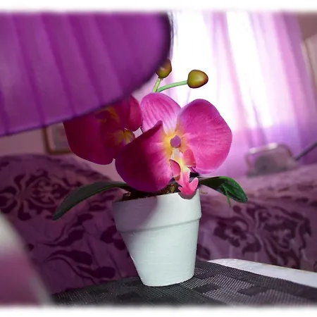 Bed and breakfast Josef 3*